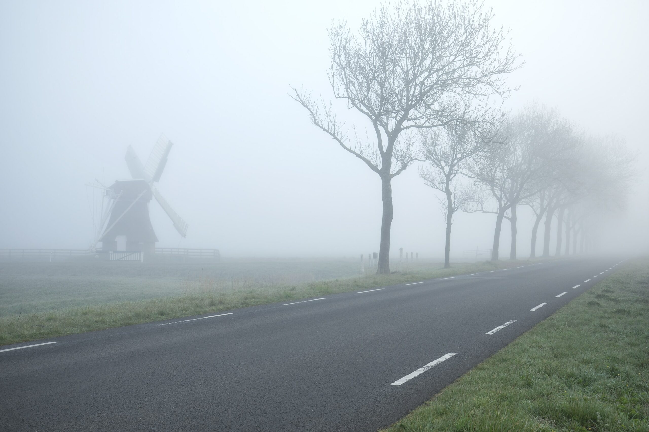 Mist - Op weg in de winter
